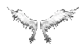 Small Wings of Heaven